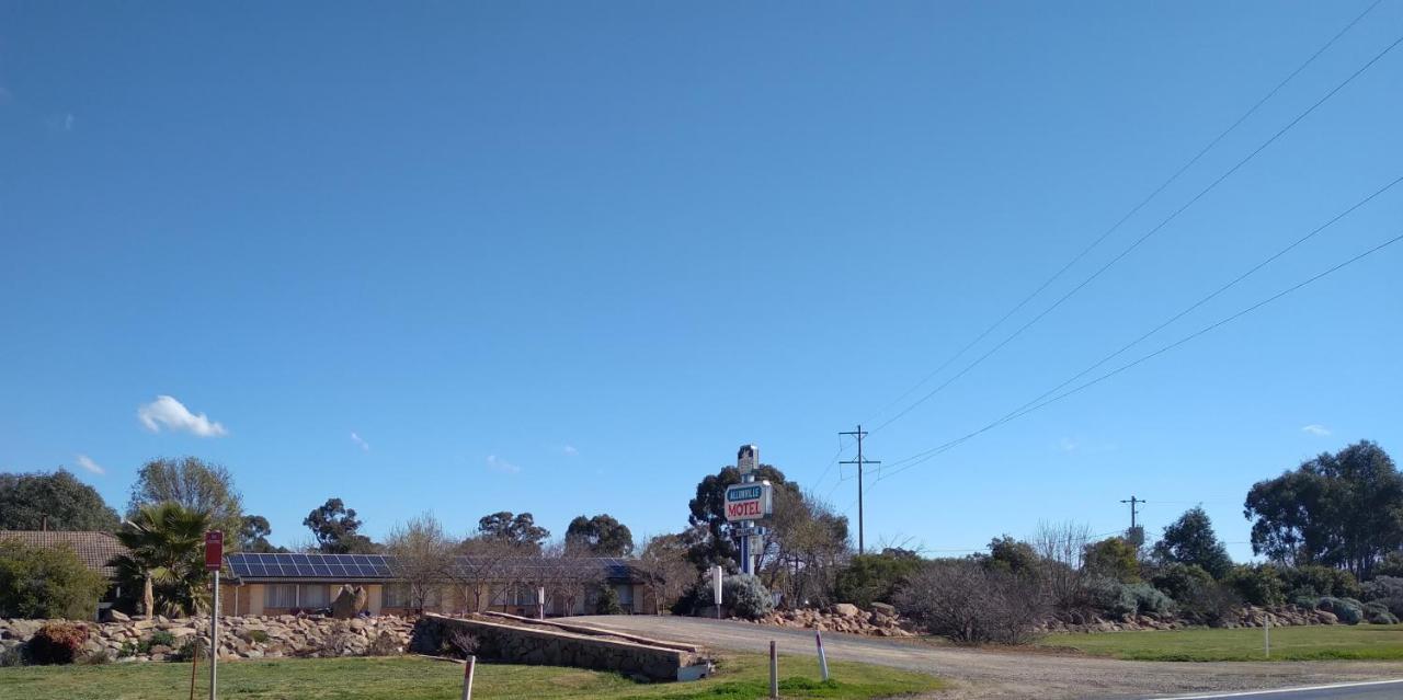 Allonville Gardens Motel Wagga Wagga Exteriör bild